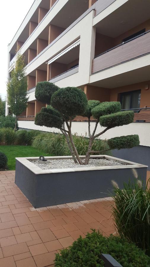 Big Forest Apartman Apartment Debrecen Ngoại thất bức ảnh
