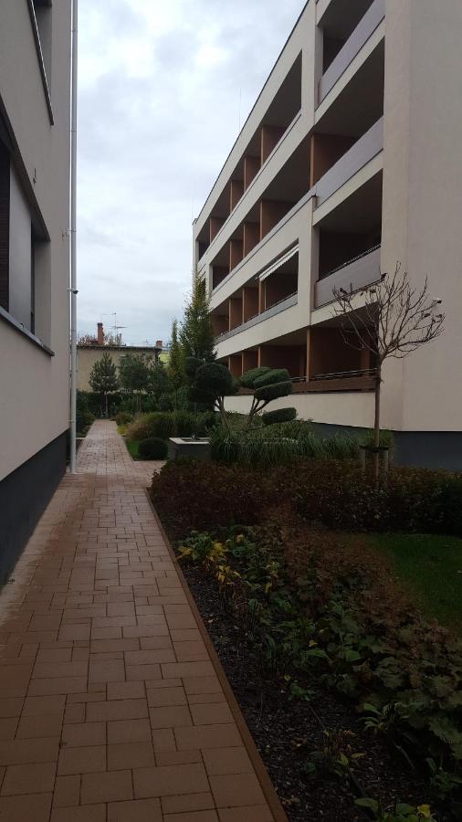 Big Forest Apartman Apartment Debrecen Ngoại thất bức ảnh
